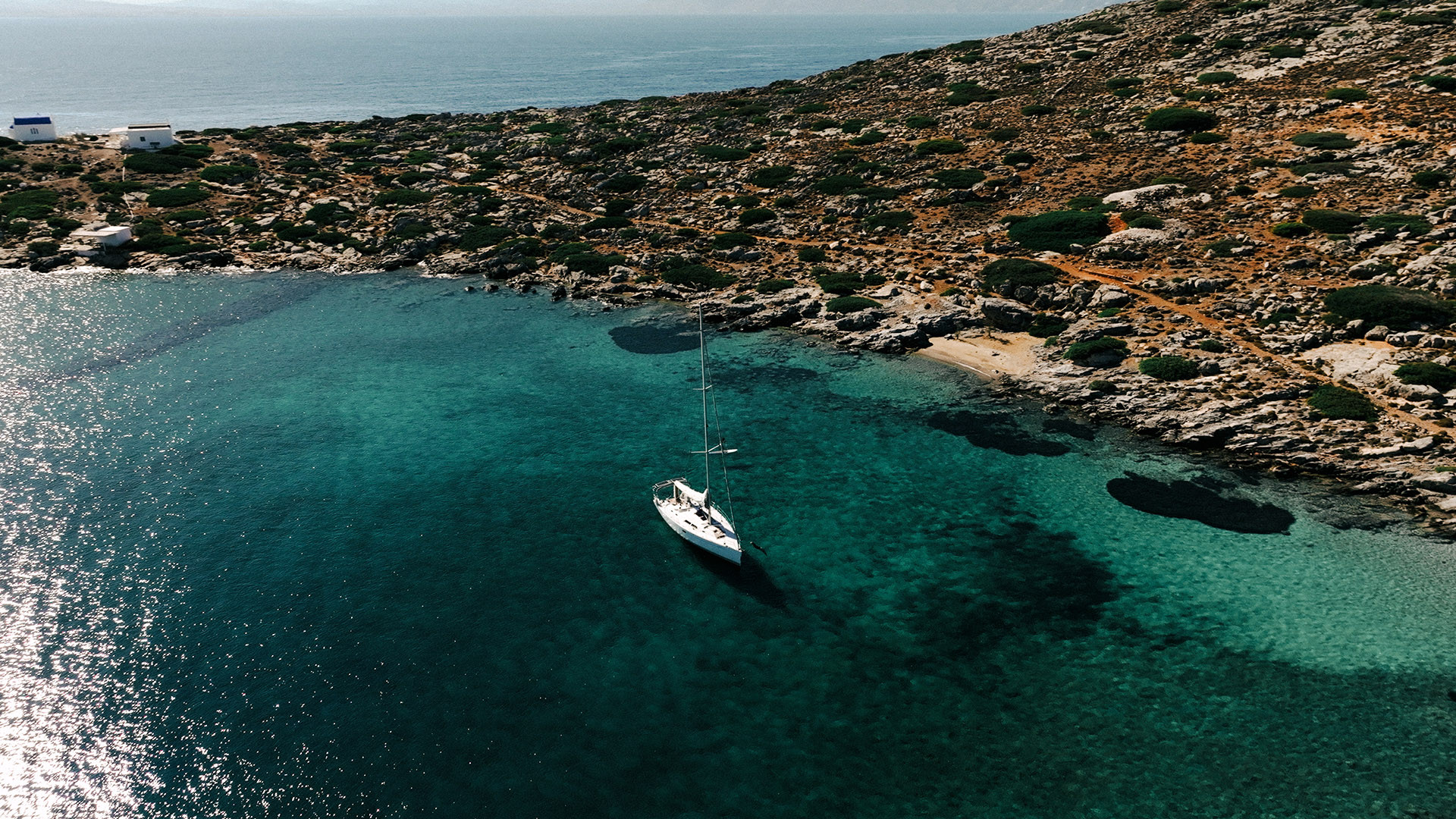 Half Day Sailing Cruise
